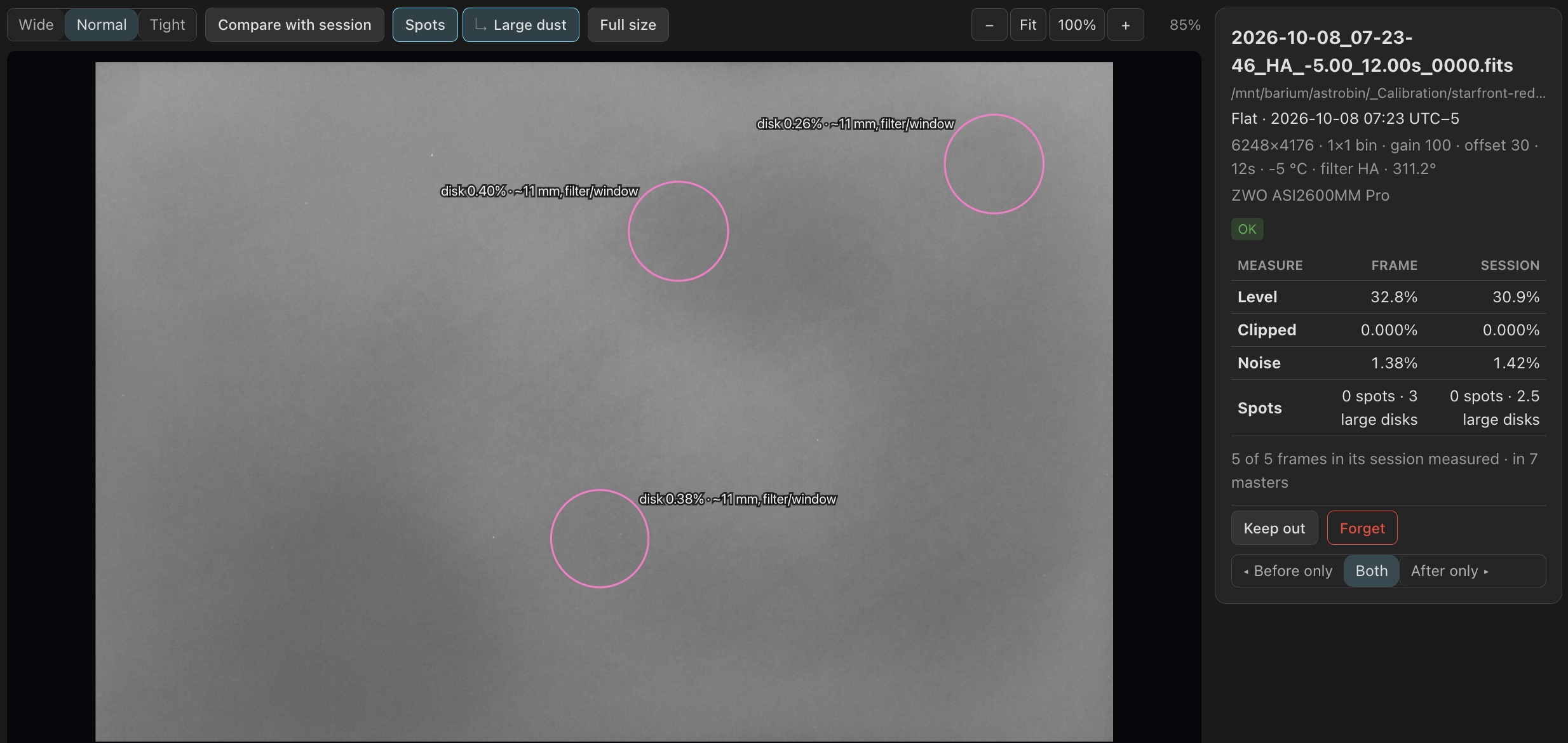 Three large dust disks are marked on this flat. Their presence alone does not make the frame poor.