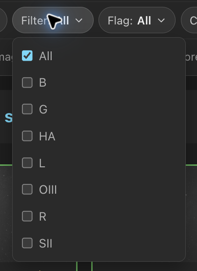 Choose one or more filters, or keep All selected.